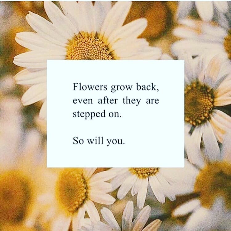 Sunday Message: Bouncing Back