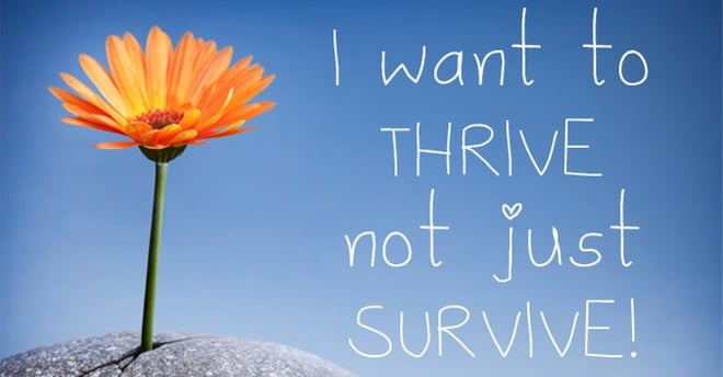 Monday Motivation: Are you Thriving?