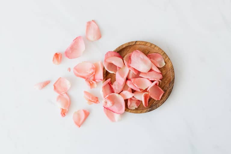 Insomnia, ToiTime’s Way: Valentine’s  Day Warning