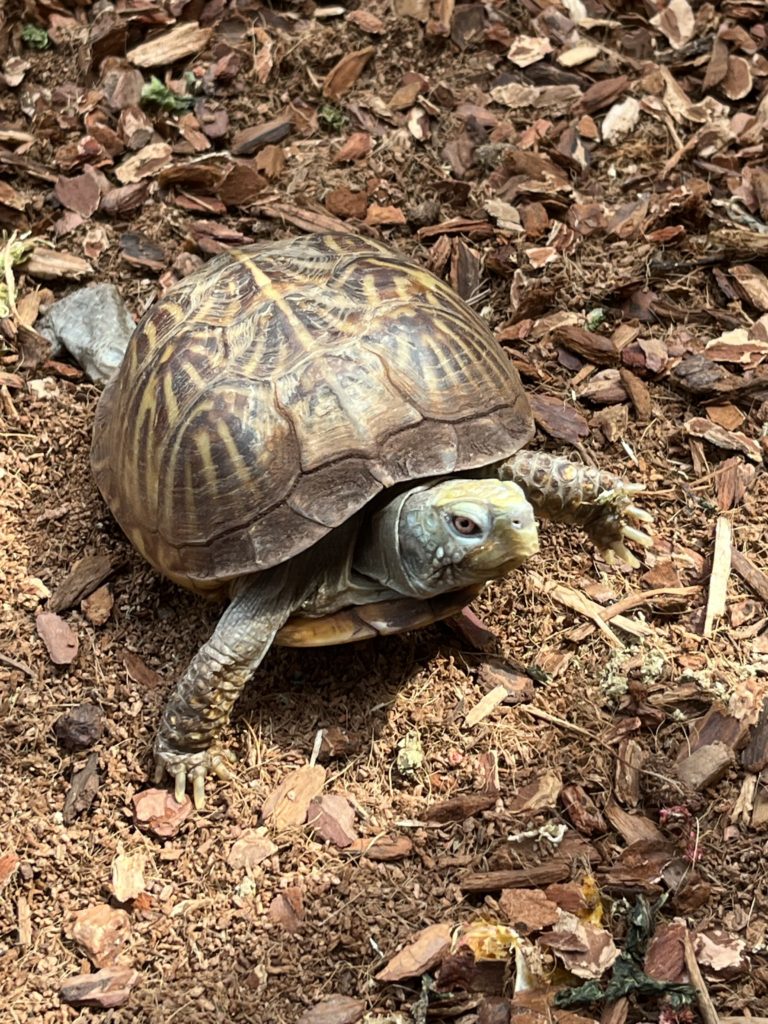 Friday Check-In: April 22, 2022