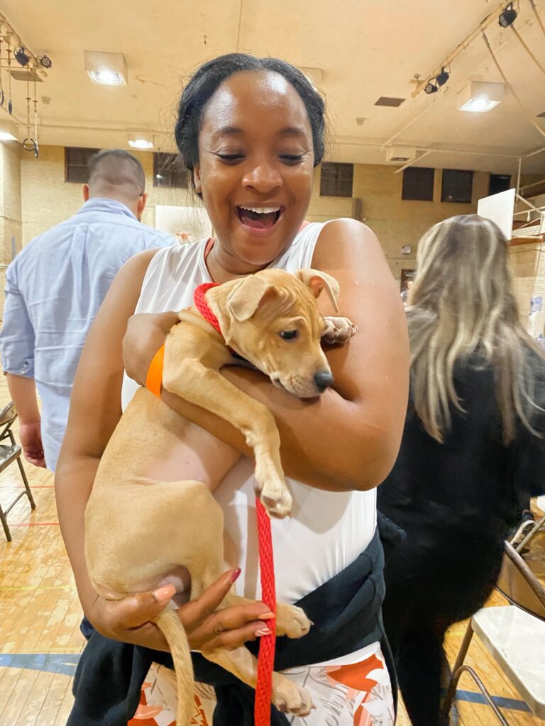 Wednesday puppy