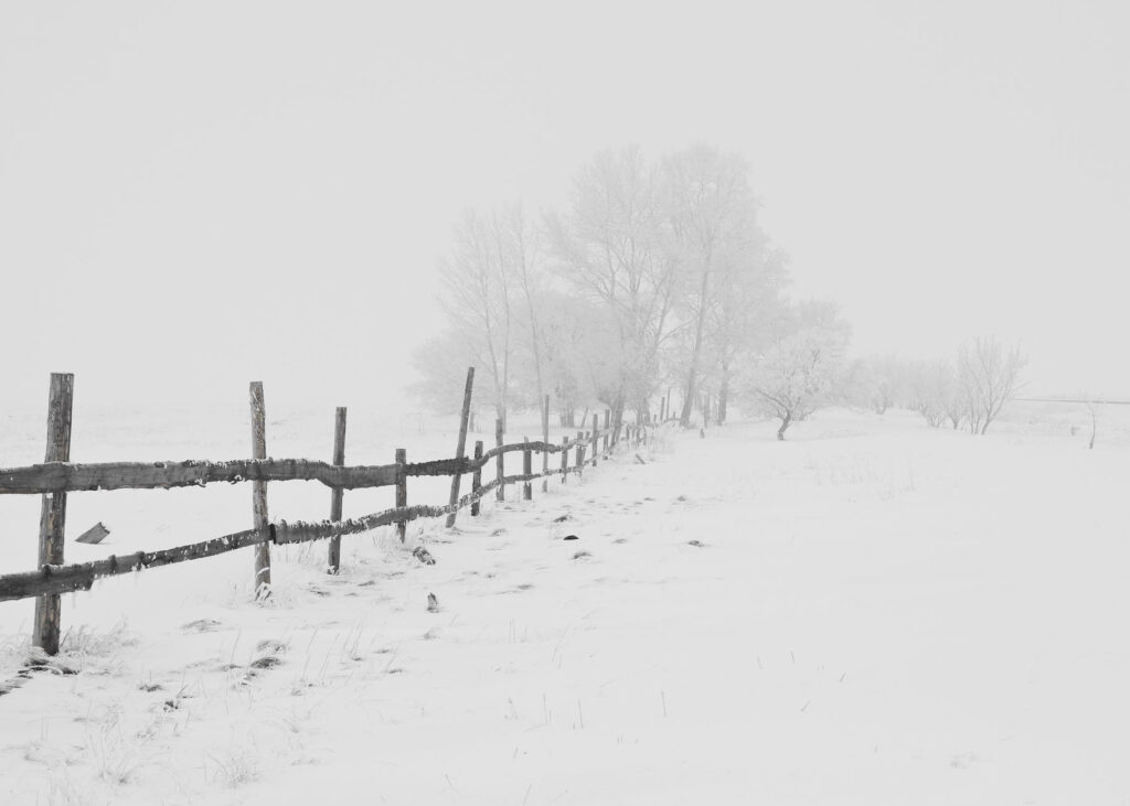 Winter