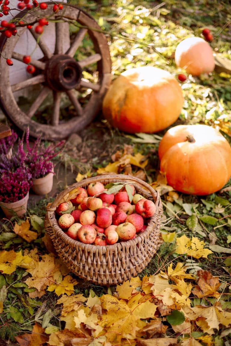 Mental Health Check In: Thanksgiving Eve