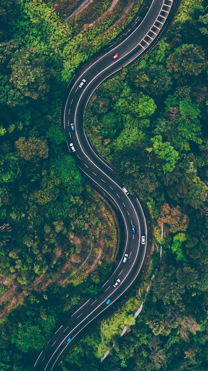 Monday Summer Series: Road Tripping