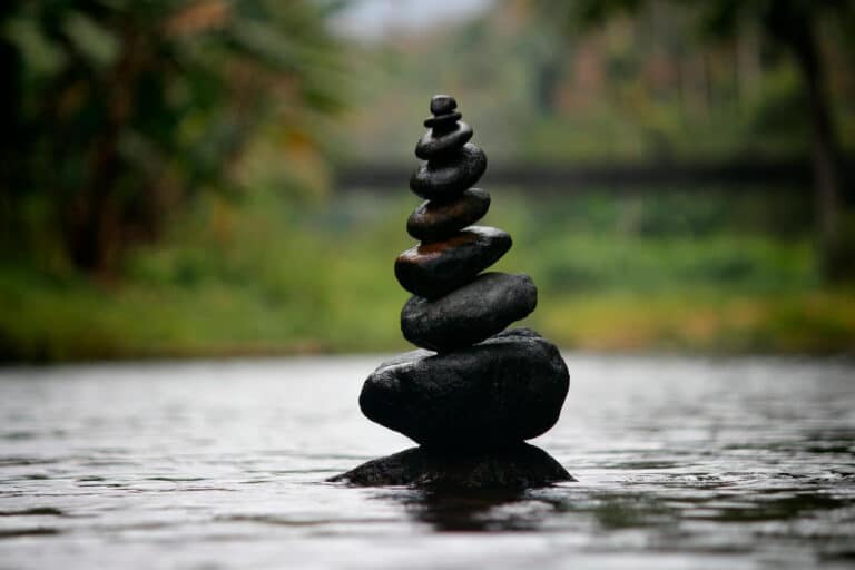 Managing Stress in High Stress Times
