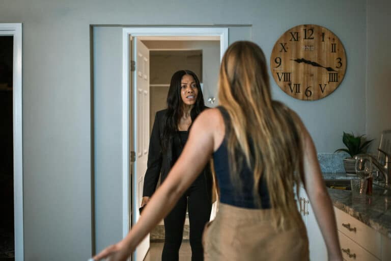Cat Fight Chronicles