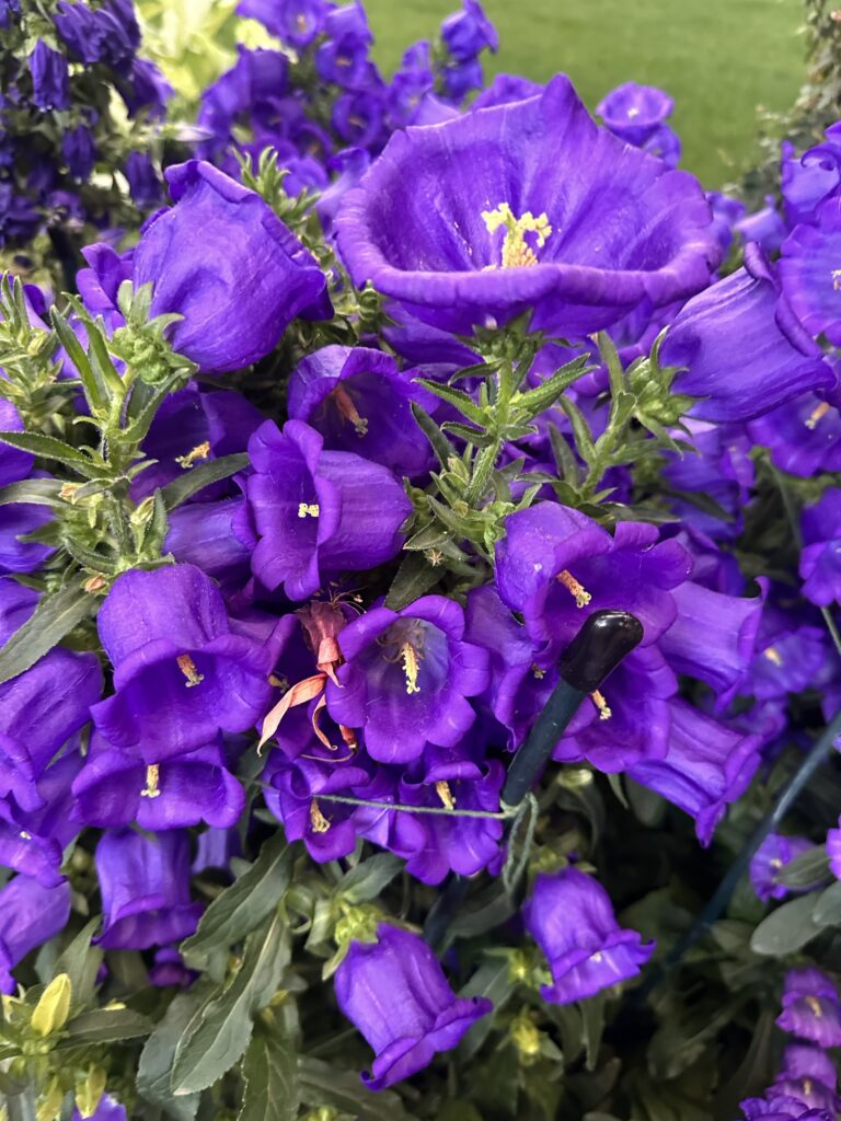 A Day of Self-Care and Celebration at Longwood Gardens