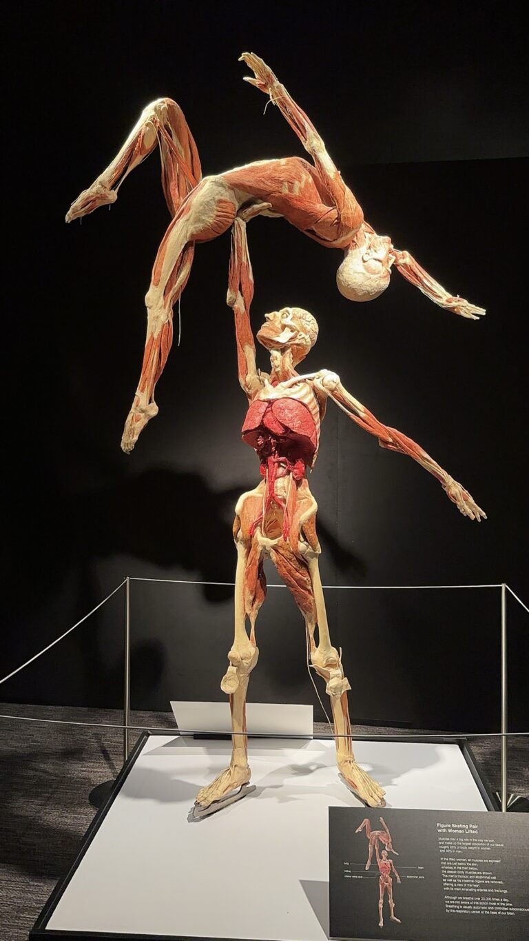 Exploring Science, Self-Care, and Discovery at The Franklin Institute
