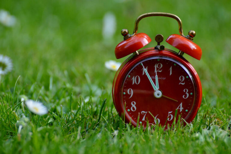 Preparing for the Fall Back: A Gentle Guide to Navigating the Time Shift
