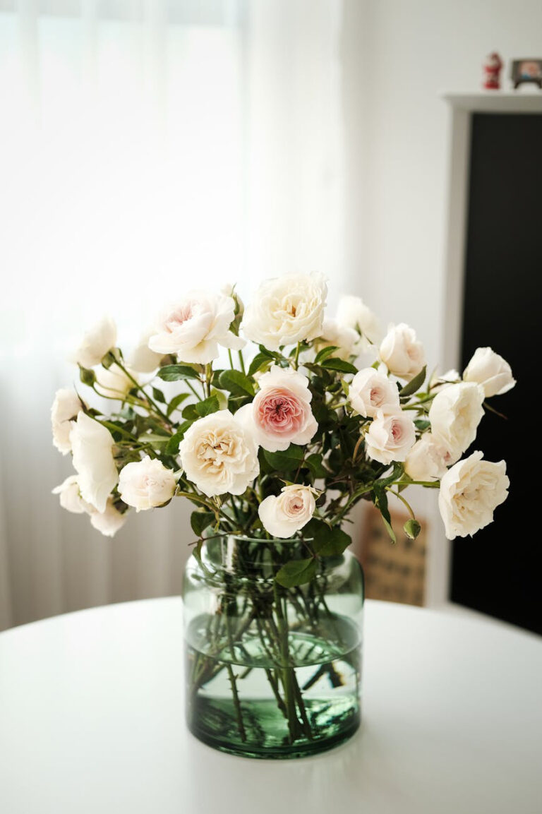 Preparing for Spring: Reset for Your Wellness and Mental Health